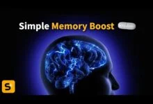 مكملات الأمعاء: ذاكرة أقوى للمسنين