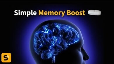 مكملات الأمعاء: ذاكرة أقوى للمسنين