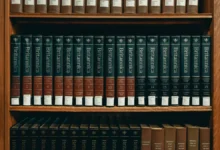 دعوى-بريتانيكا-ضد-اوبن-ايه-آي