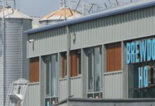 استحواذ-برودوغ-وظائف-قنب