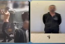 ضبط-بلطجي-الفيوم