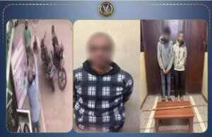 عنف عائلي موثق