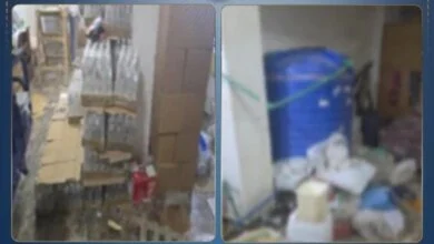 خل-مغشوش-الإسكندرية