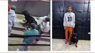 ترهيب بكلب: نهاية "المزاح" المسلح