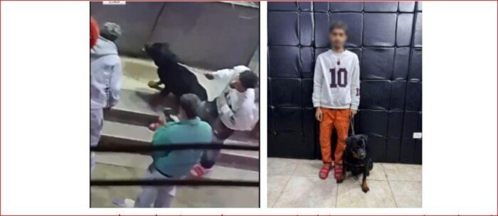 ترهيب بكلب: نهاية "المزاح" المسلح