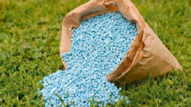 ضبط_أسمدة_كفر_الشيخ