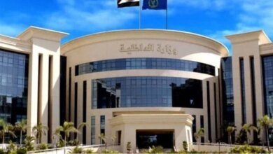 ضبط-سائق-ميكروباص-الجيزة