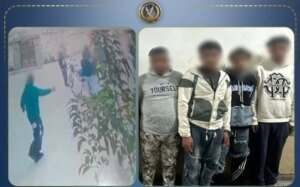 مشاجرة الجيزة: ضبط المتورطين