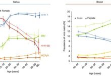 فيروسات أجسادنا الخفية