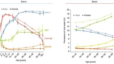 فيروسات أجسادنا الخفية