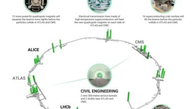 1775033966 CERN levels up with new superconducting karts