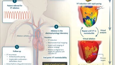 القلب الرقمي ينقذ الأرواح