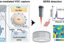 مستشعر بلازموسنيف يكشف أمراض الرئة