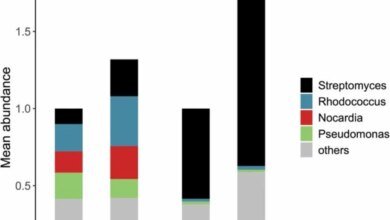 الجفاف ومقاومة المضادات