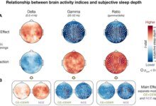 الأحلام وعمق النوم