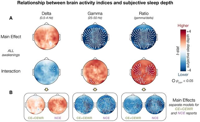 أحلامك الغامرة تخدع دماغك بالشعور بالراحة 1 الأحلام وعمق النوم