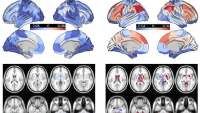 البصمة العصبية للمهلوسات