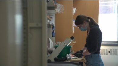 حقنة ترميم المفاصل