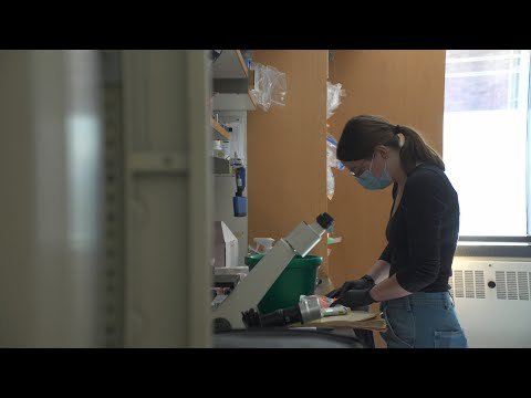 حقنة ترميم المفاصل