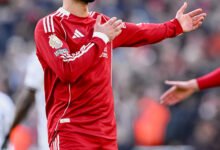 ليفربول وفولهام