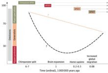 اللحوم وجين ألزهايمر