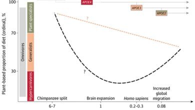 اللحوم وجين ألزهايمر