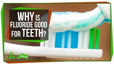 دراسة أمريكية تحسم جدل 70 عاماً: فلورة المياه لا تضعف الذكاء 2 الفلورايد والقدرات الذهنية