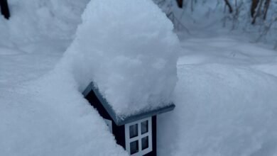 أزمة أمن التحديثات البرمجية