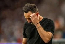 دي زيربي وتحدي البقاء