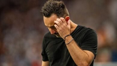 دي زيربي وتحدي البقاء