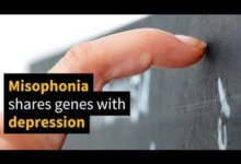 سر كراهية أصوات المضغ