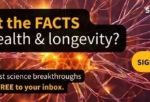 فخ الهواتف والذاكرة