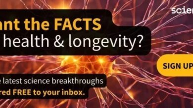 فخ الهواتف والذاكرة