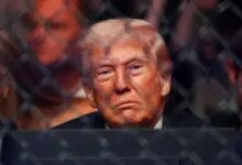 1776608022 Es un trato muy justo y razonable