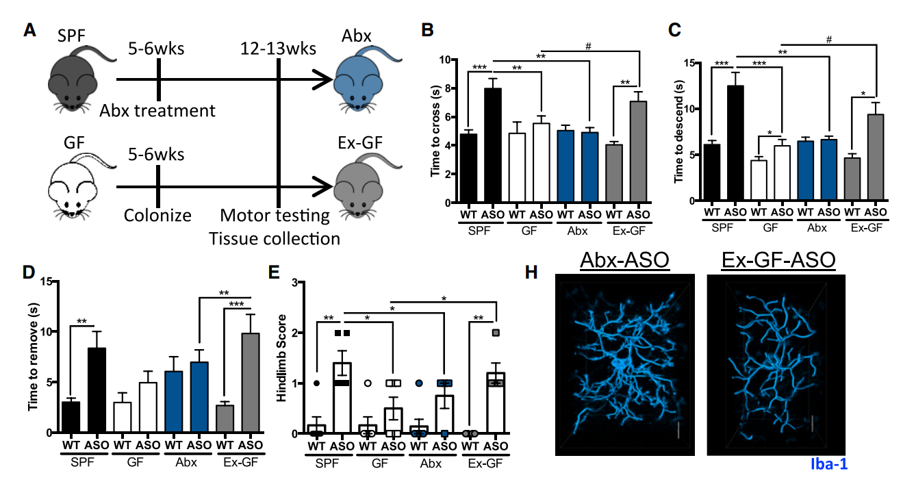 تلاعب في أبحاث باركنسون