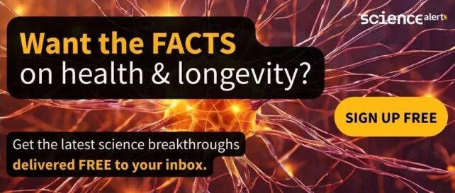 مخاطر سمنة الشباب