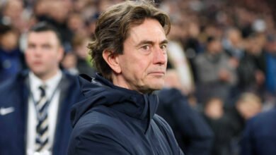 أزمة مدرب فولهام