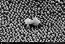 بلاستيك نانوي يحطم الفيروسات