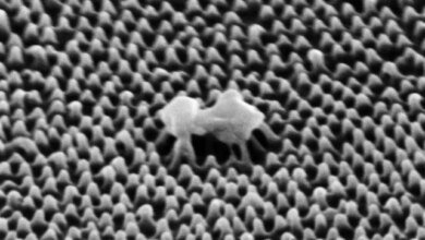 بلاستيك نانوي يحطم الفيروسات