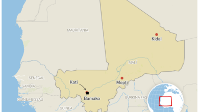 هجمات منسقة في مالي