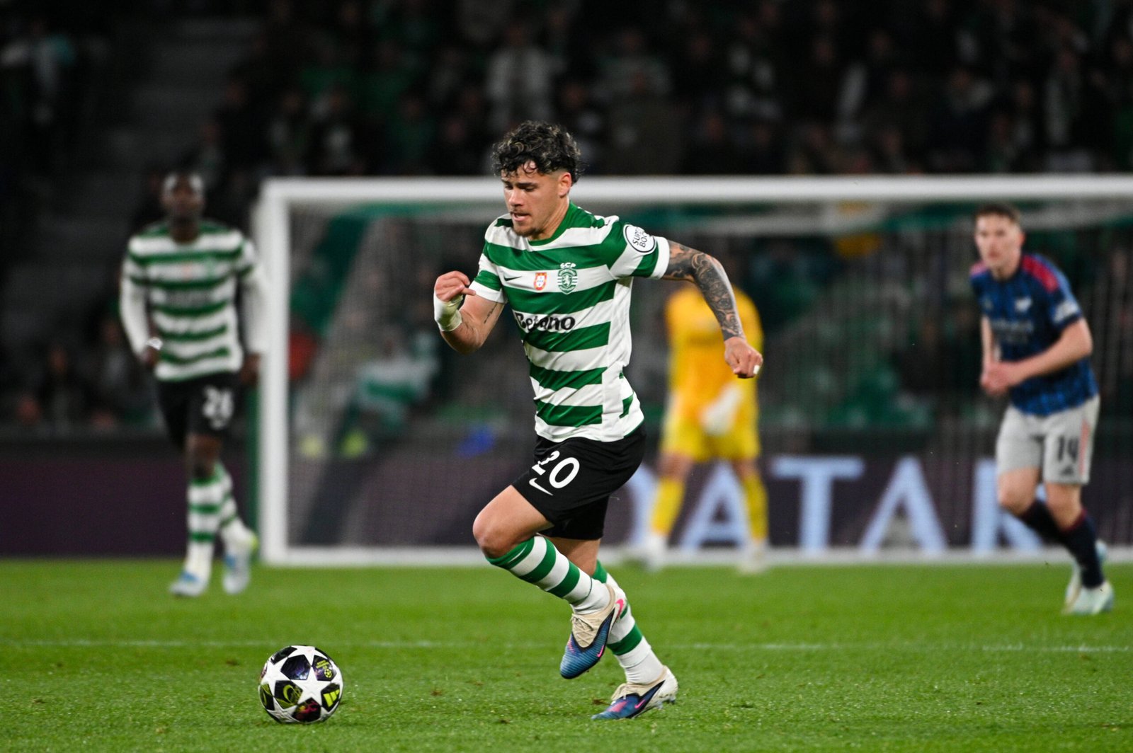 أراوجو إلى البريميرليغ