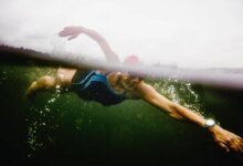 لغز الذاكرة الإجرائية