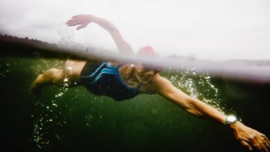 لغز الذاكرة الإجرائية