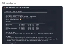 فخ الكود الآلي