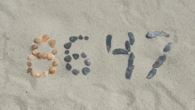 ملاحقة جيمس كومي قضائياً