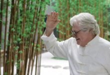 حسين فهمي في الصين