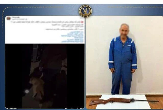 بندقية رش وصراع جيران.. حقيقة واقعة كلاب الإسماعيلية 1 واقعة كلاب الإسماعيلية