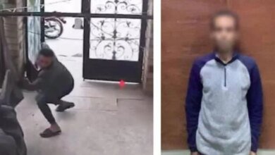 ضبط لص الفسطاط