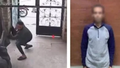 ضبط لص الفسطاط