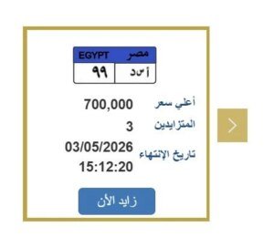 مزاد لوحة أ س د 99